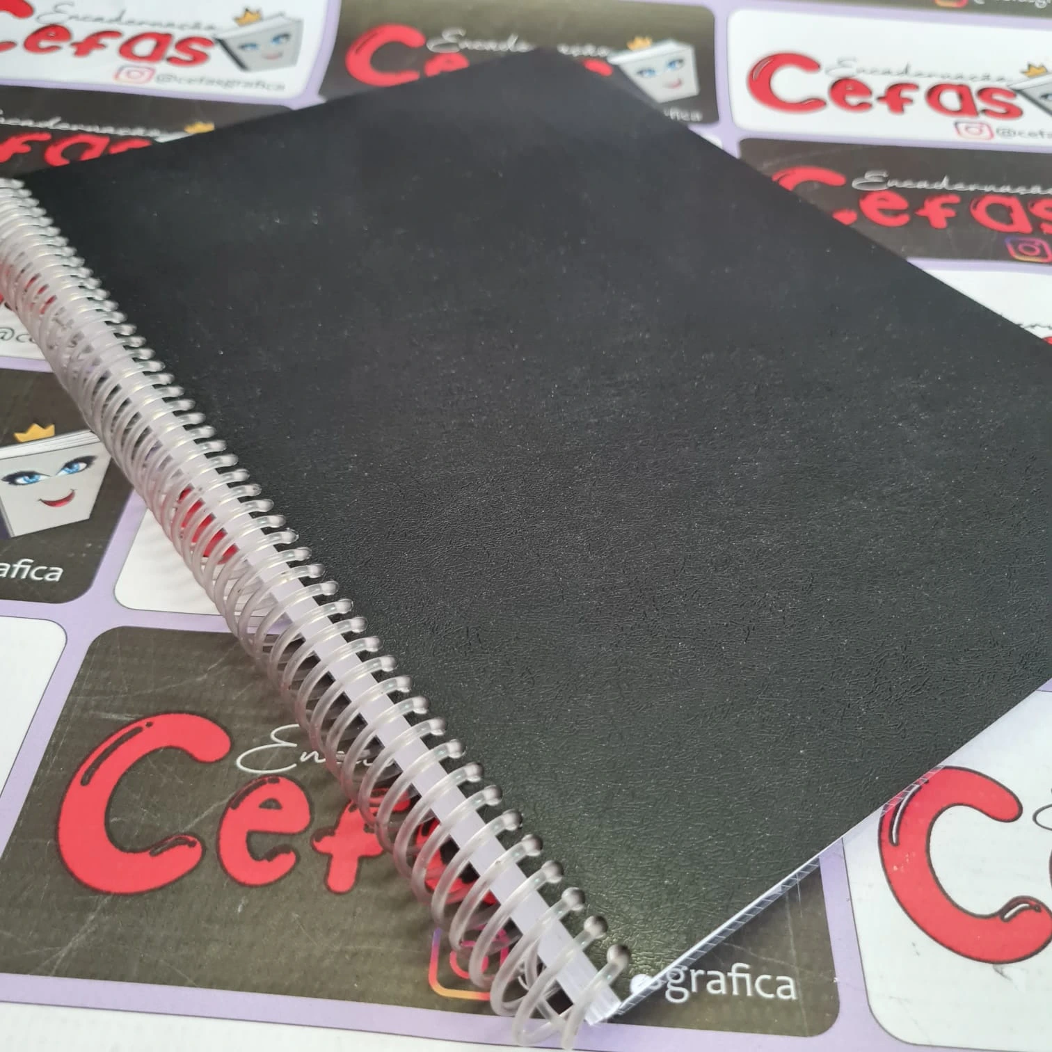 Imagem de Encadernação em Espiral Simples Com Capa Opaca